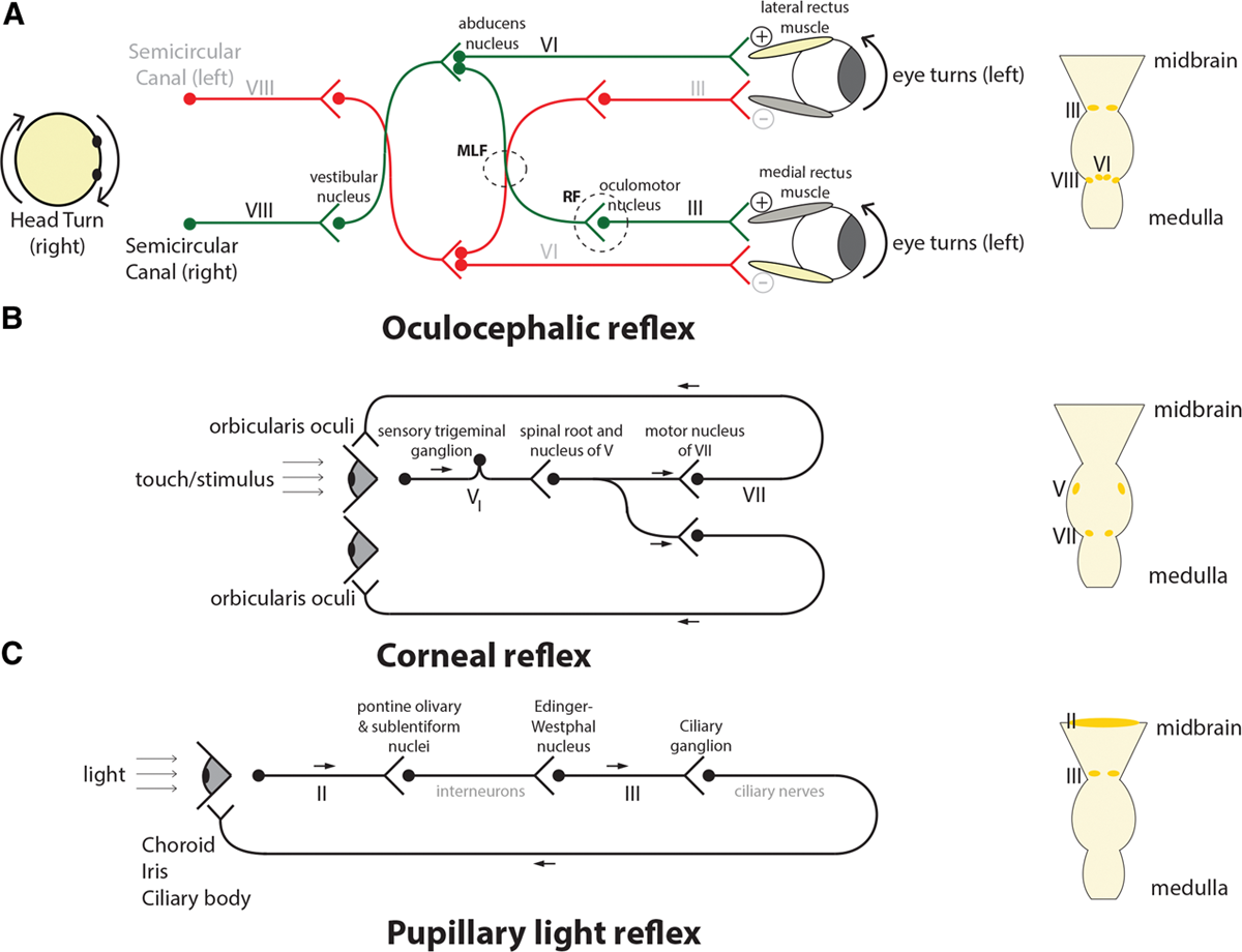 ../../assets/Pasted image 20220711232942.png