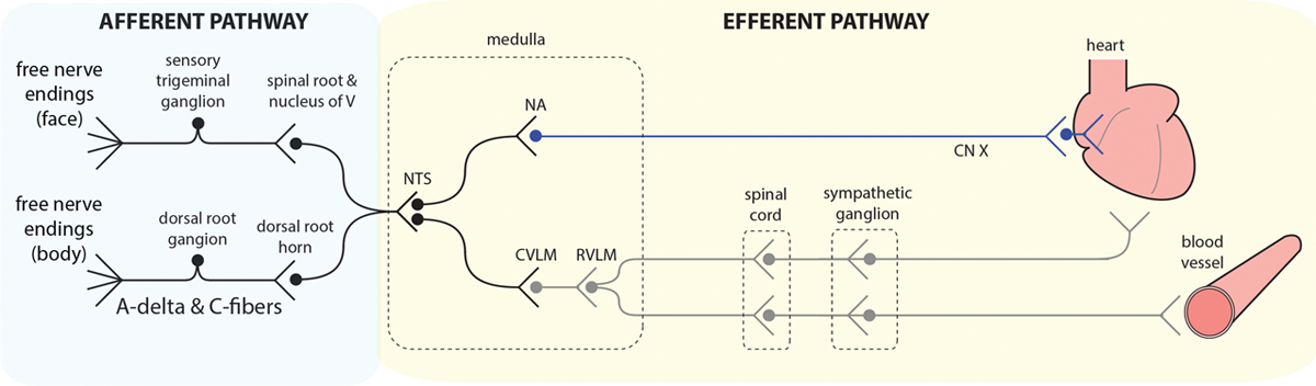 ../../assets/Pasted image 20220711233933.png